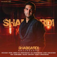 دانلود آهنگ جدید سجاد زارع به نام شبگردی